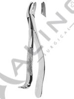 Extracting Forceps American pattern 