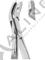 Extracting Forceps American pattern 