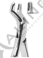 Extracting Forceps American pattern 