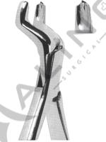 Extracting Forceps American pattern 