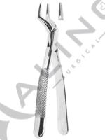 Extracting Forceps American pattern 