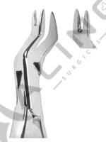 Extracting Forceps American pattern 