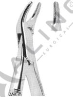 Extracting Forceps American pattern 