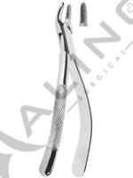 Extracting Forceps American pattern 