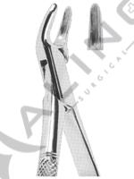 Extracting Forceps American pattern 