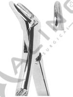 Extracting Forceps American pattern 