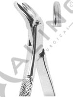 Extracting Forceps American pattern 