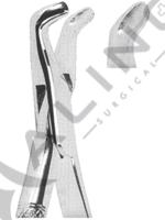 Extracting Forceps American pattern 