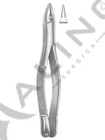 Extracting Forceps American pattern 