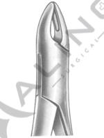 Extracting Forceps American pattern 