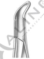 Extracting Forceps American pattern 