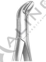 Extracting Forceps American pattern 