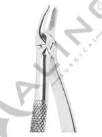 Extracting Forceps American pattern