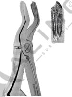 Extracting Forceps For Children- Klein Pattern