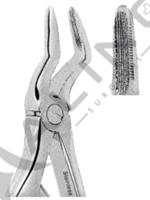 Extracting Forceps For Children- Klein Pattern