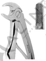 Extracting Forceps For Children- Klein Pattern