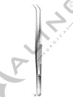 Delicate Dissecting Forceps